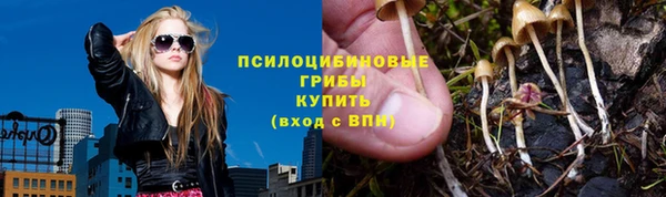 индика Богородицк