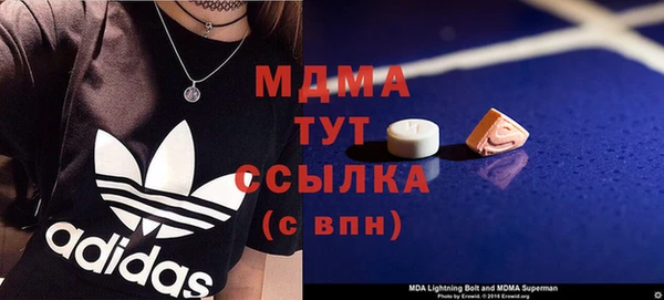 индика Богородицк