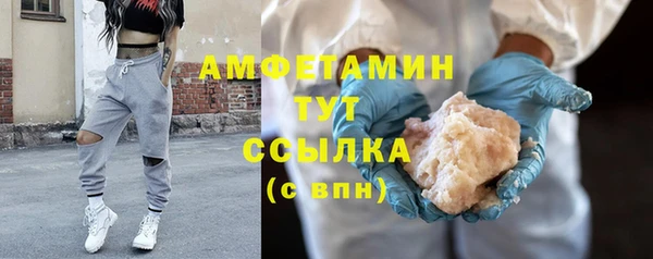 индика Богородицк