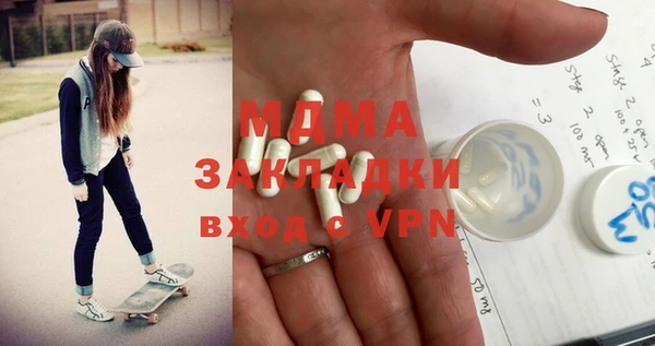 индика Богородицк