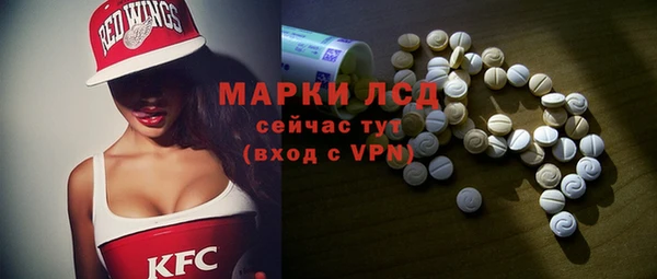 spice Богданович