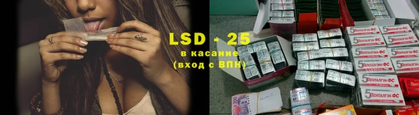 индика Верея