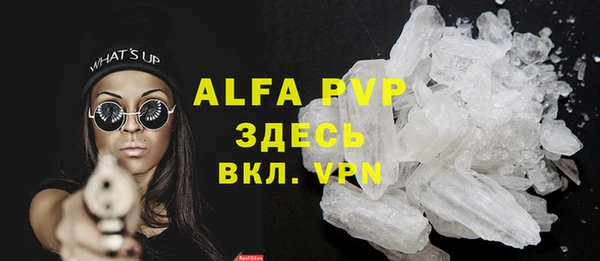 индика Богородицк