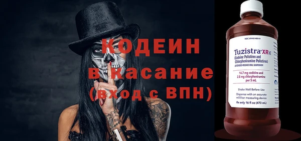 индика Богородицк