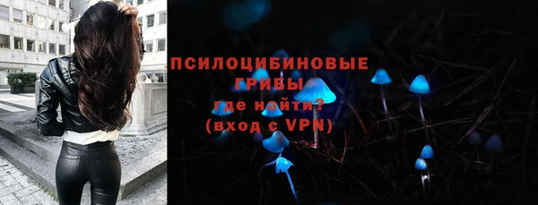 индика Богородицк