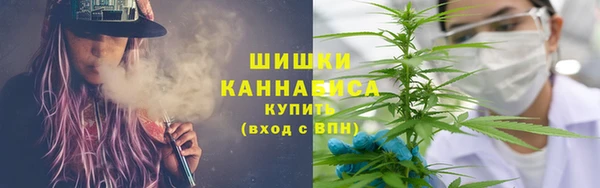 spice Богданович