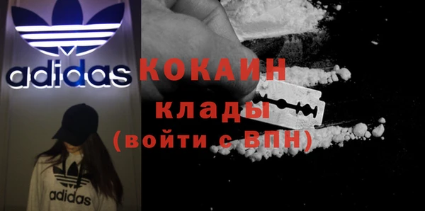 spice Богданович