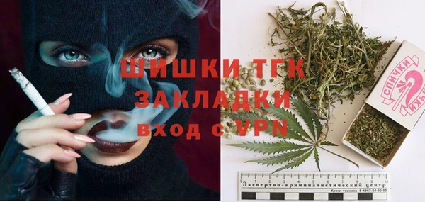 spice Богданович