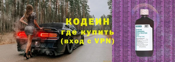 индика Богородицк
