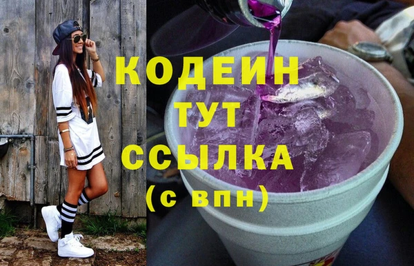 индика Богородицк