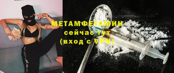 индика Богородицк