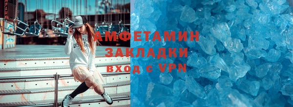 индика Богородицк