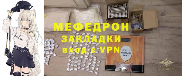 индика Богородицк