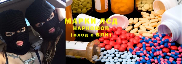 индика Богородицк